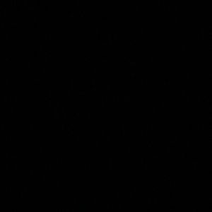 Meet your Posher, Izzy